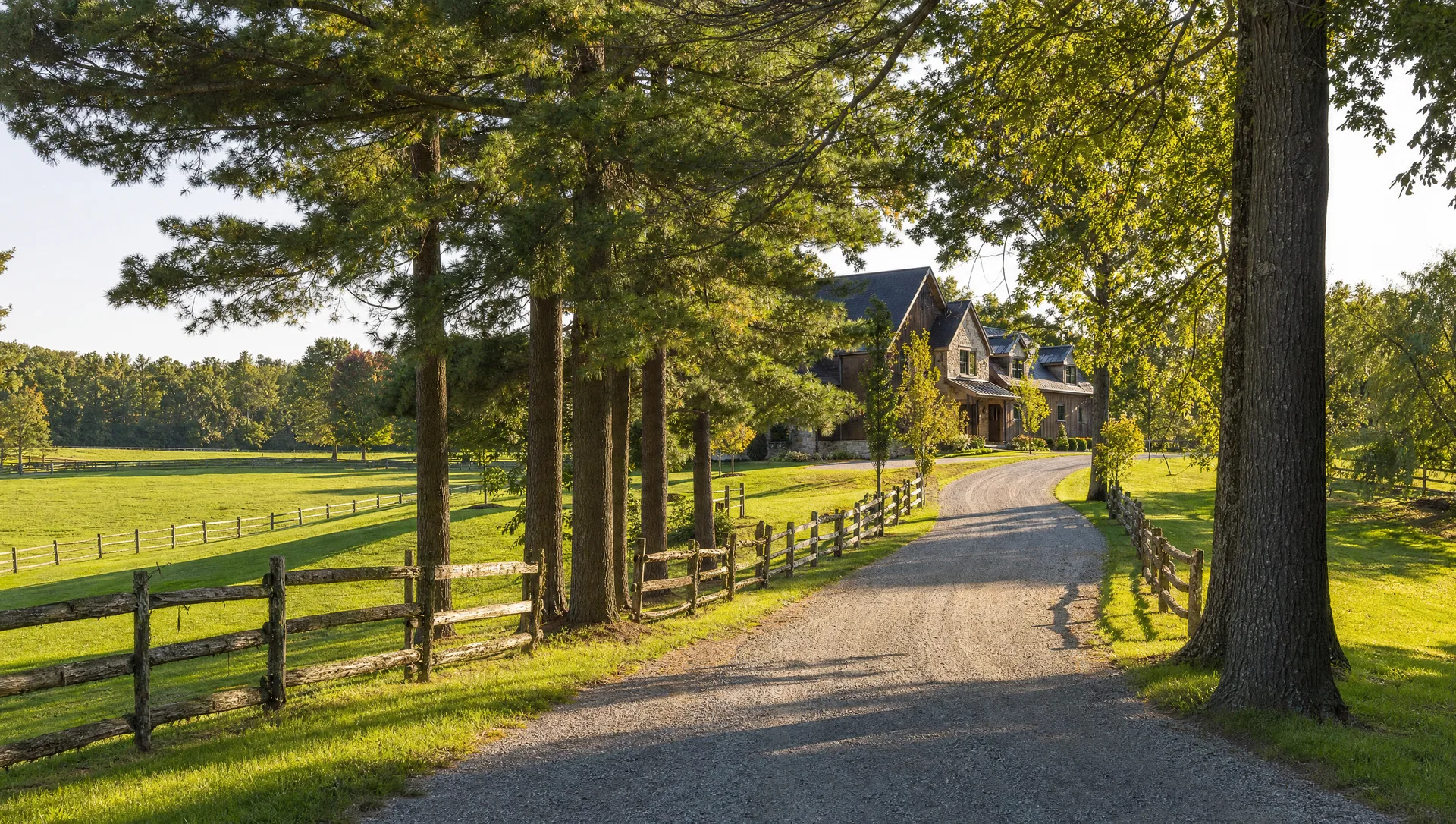Rural King Township estate driveway lined with mature pines and white oaks leading to a stone-and-cedar country house