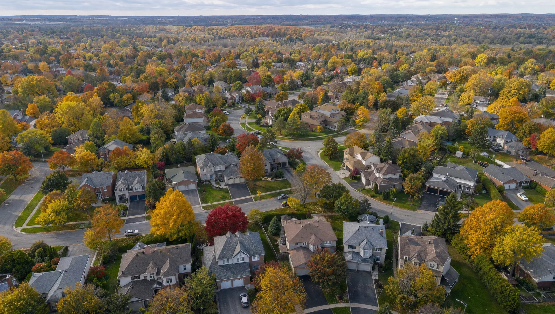 Aerial view of an Aurora Ontario residential neighbourhood with mature autumn tree canopy and curving suburban streets