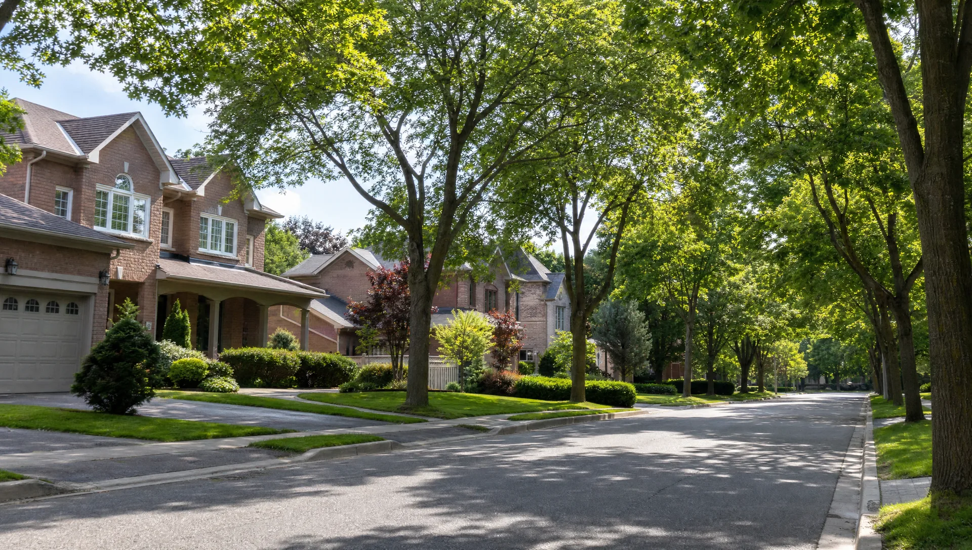 Established residential Richmond Hill street along the Bayview corridor with mature deciduous canopy and two-storey brick homes